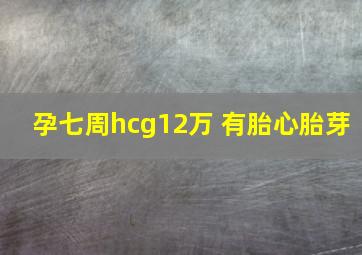 孕七周hcg12万 有胎心胎芽